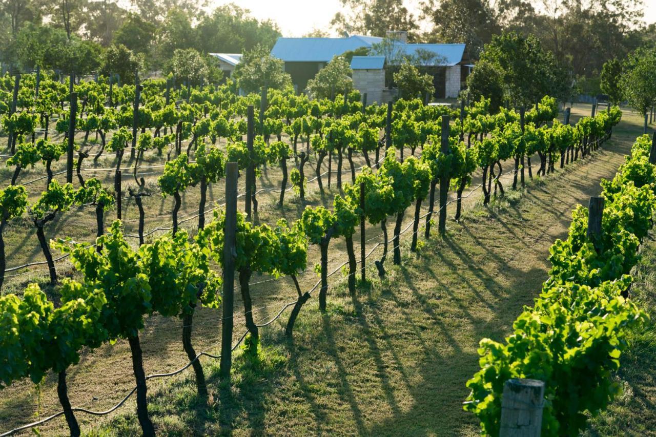 פוקולבין Thistle Hill Guesthouse - Walk To Many Wineries And Restaurants מראה חיצוני תמונה