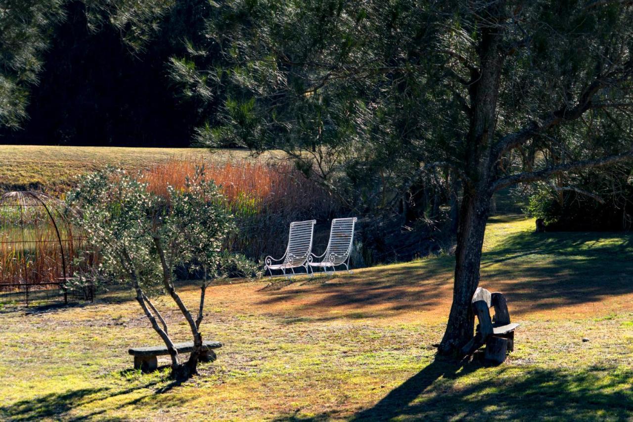 פוקולבין Thistle Hill Guesthouse - Walk To Many Wineries And Restaurants מראה חיצוני תמונה