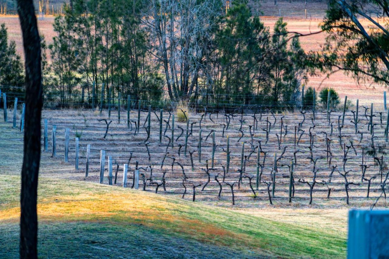 פוקולבין Thistle Hill Guesthouse - Walk To Many Wineries And Restaurants מראה חיצוני תמונה
