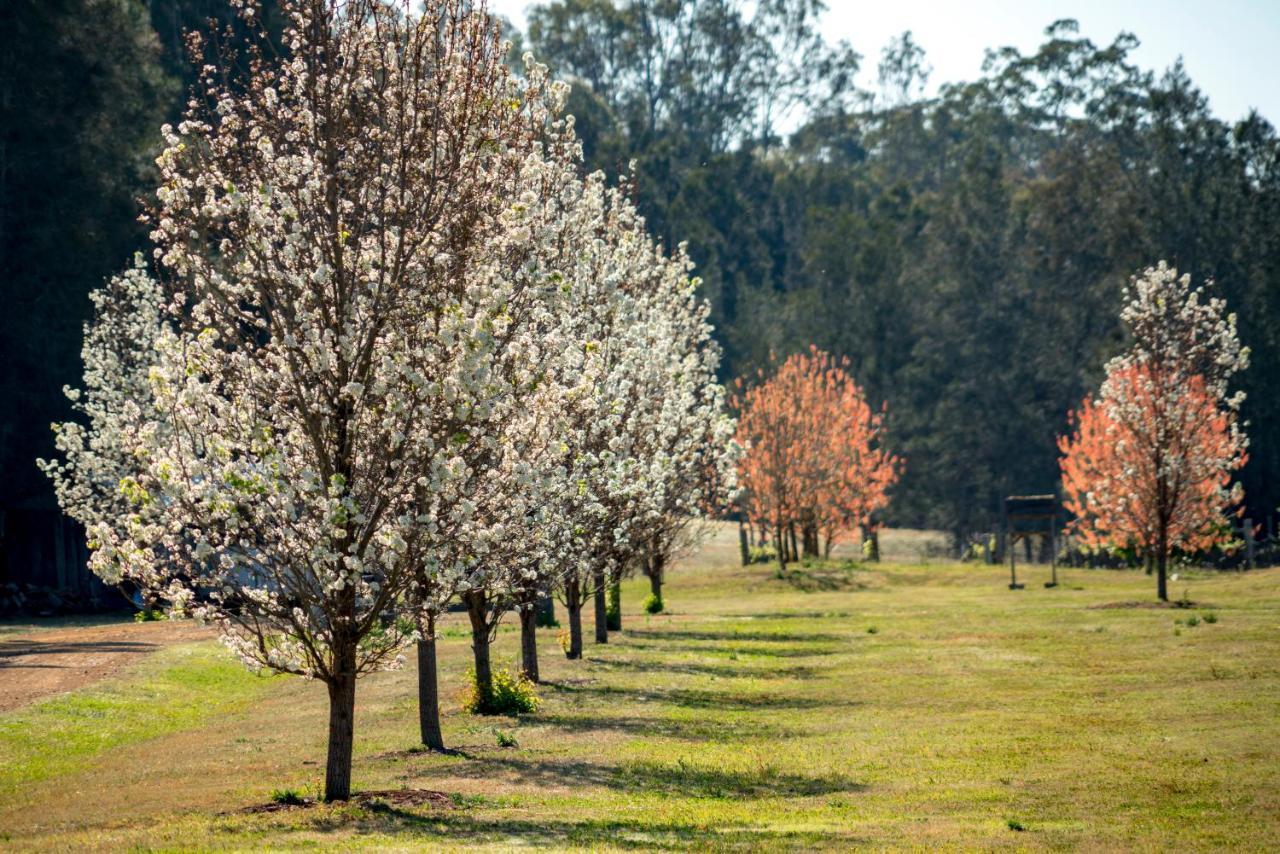 פוקולבין Thistle Hill Guesthouse - Walk To Many Wineries And Restaurants מראה חיצוני תמונה