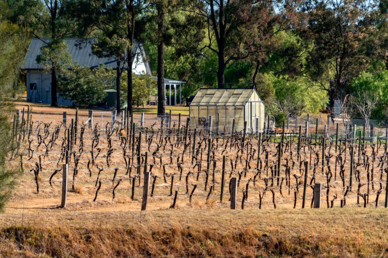 פוקולבין Thistle Hill Guesthouse - Walk To Many Wineries And Restaurants מראה חיצוני תמונה
