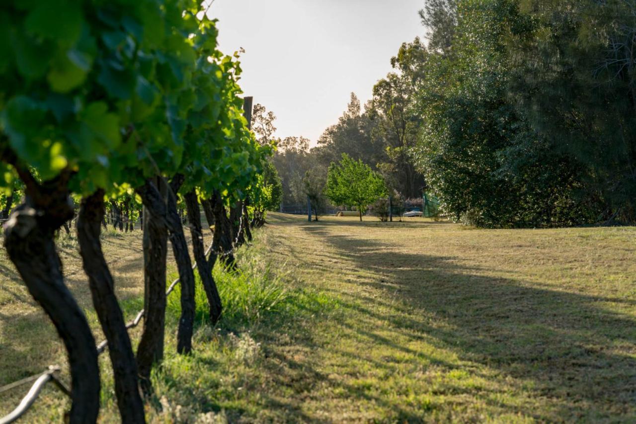 פוקולבין Thistle Hill Guesthouse - Walk To Many Wineries And Restaurants מראה חיצוני תמונה