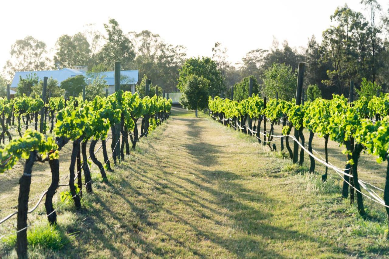 פוקולבין Thistle Hill Guesthouse - Walk To Many Wineries And Restaurants מראה חיצוני תמונה